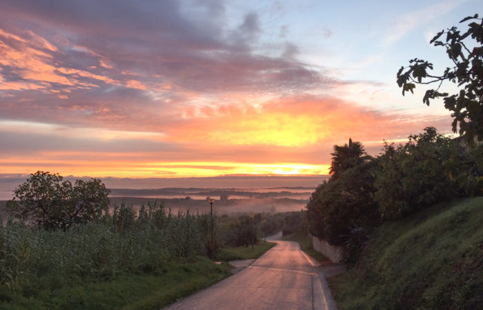 Bike&Wellness d’autunno in Istria