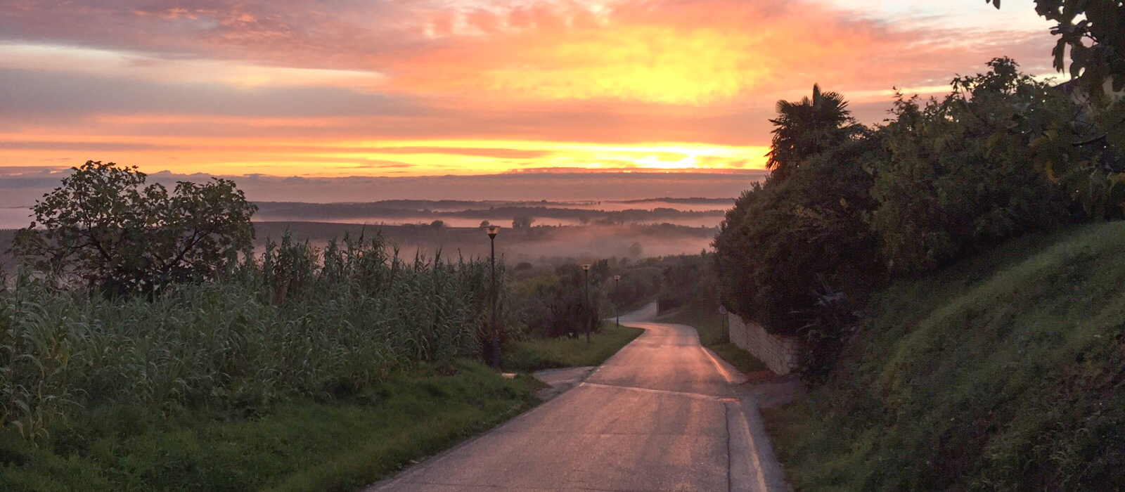 Bike&Wellness in Istria