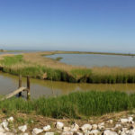 Isole della laguna Veneziana e Delta del Po