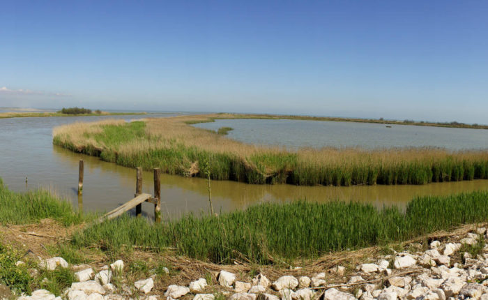 Isole della laguna Veneziana e Delta del Po